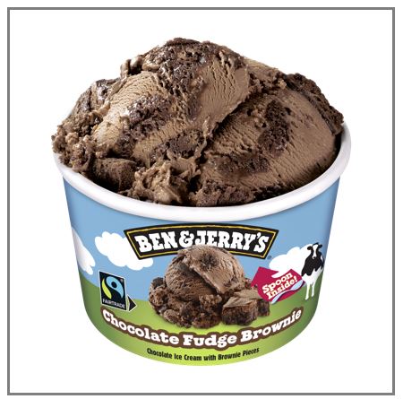 POT BEN&JERRY'S CHOCOLATE FUDGE BROWNIE