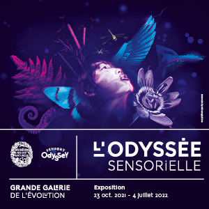 Un laissez-passer pour l’exposition L'ODYSSÉE SENSORIELLE