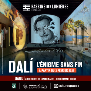 Un laissez-passer pour l’exposition DALI : L’ENIGME SANS FIN