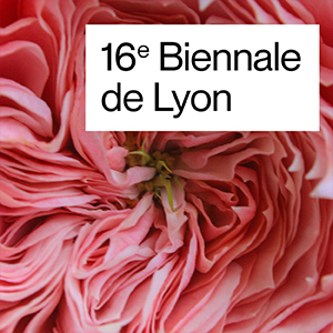 Deux billets pour la 16e BIENNALE D’ART CONTEMPORAIN de Lyon 