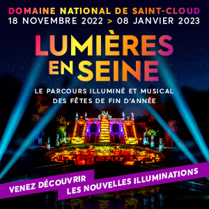 Une place pour le spectacle LUMIÈRES EN SEINE