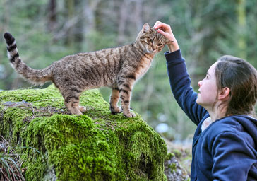 Mon chat et moi, La grande aventure de Rroû