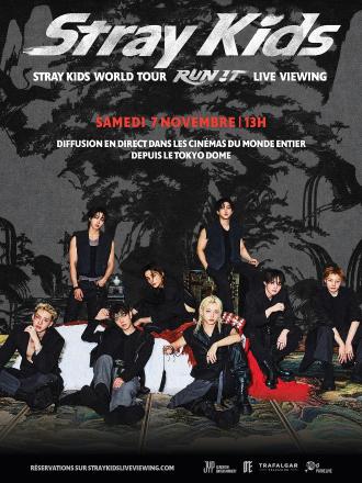 STRAY KIDS WORLD TOUR 'RUN IT' LIVE VIEWING