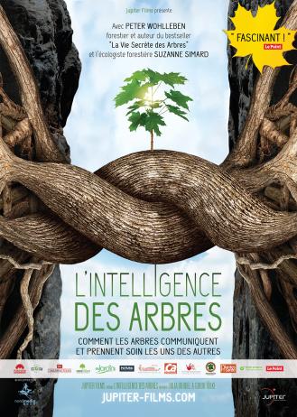 L'INTELLIGENCE DES ARBRES