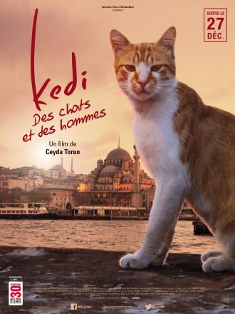 KEDI DES CHATS ET DES HOMMES