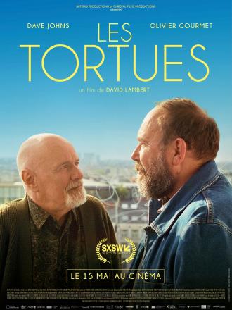 LES TORTUES
