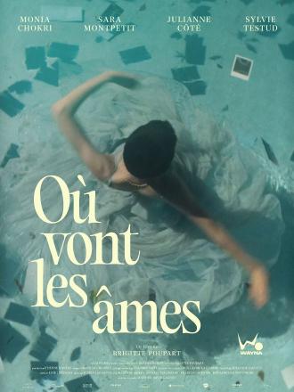 OU VONT LES AMES