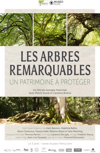 LES ARBRES REMARQUABLES UN PATRIMOINE A PROTEGER