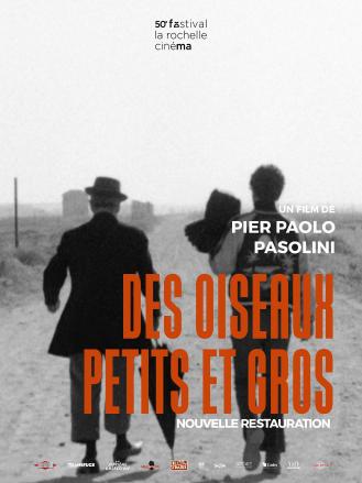 DES OISEAUX PETITS ET GROS