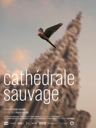 CATHEDRALE SAUVAGE