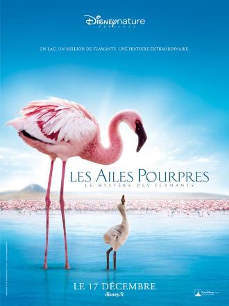 LES AILES POURPRES