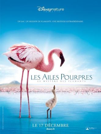 LES AILES POURPRES