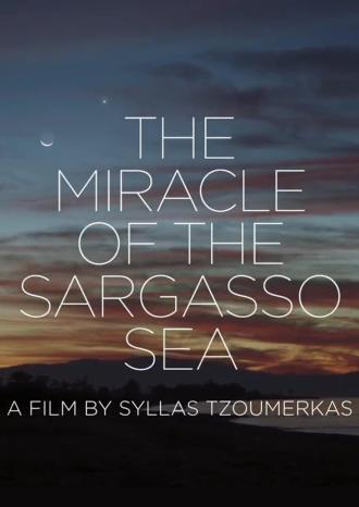 THE MIRACLE OF THE SARGASSO SEA