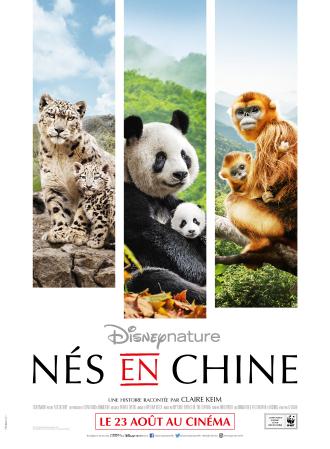 NES EN CHINE