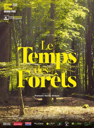 LE TEMPS DES FORETS