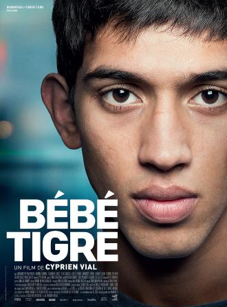 BEBE TIGRE