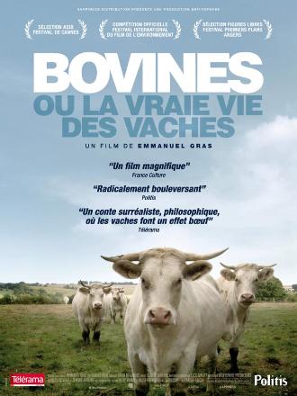 BOVINES