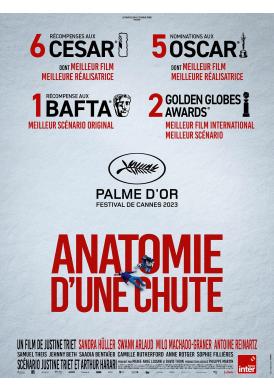 ANATOMIE D'UNE CHUTE