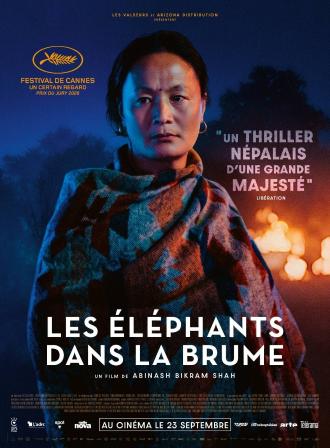 LES ELEPHANTS DANS LA BRUME