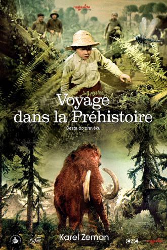 VOYAGE DANS LA PREHISTOIRE