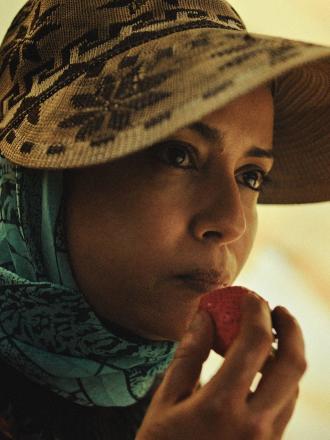 LES FRAISES