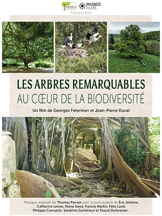 LES ARBRES REMARQUABLES AU CŒUR DE LA BIODIVERSITÉ